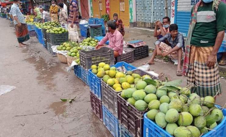 হাড়িভাঙ্গা আমের দামে ধস, ১৫০ কোটি টাকা ক্ষতির আশঙ্কা 